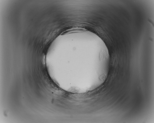 X0000100760041200807101738
