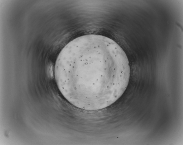 X0000100760042200807101738