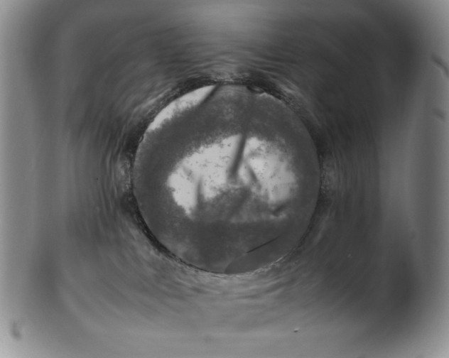 X0000100760043200807101738