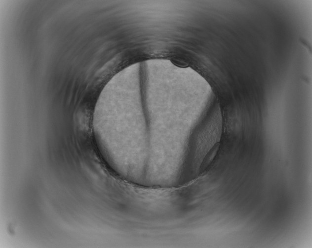 X0000100760044200807101738