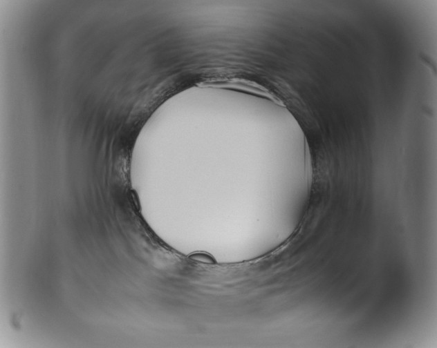 X0000100760045200807101738
