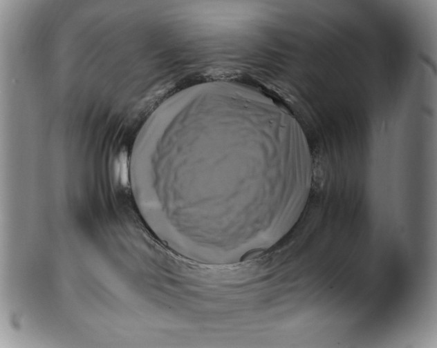 X0000100760046200807101738