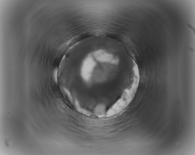 X0000100760047200807101738