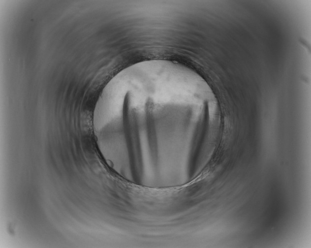 X0000100760048200807101738