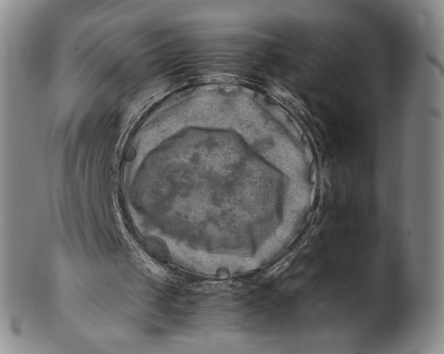 X0000100760049200807101737