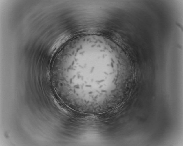 X0000100760050200807101737