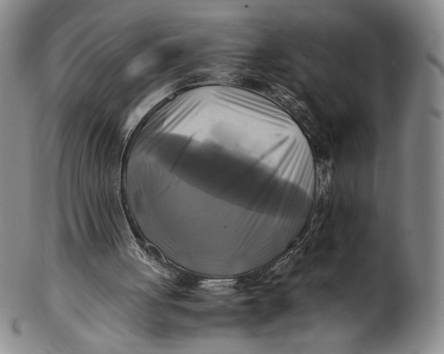 X0000100760051200807101737