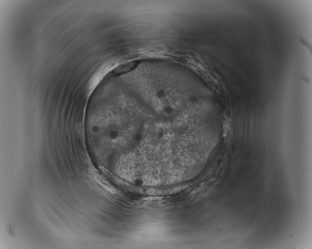 X0000100760052200807101737