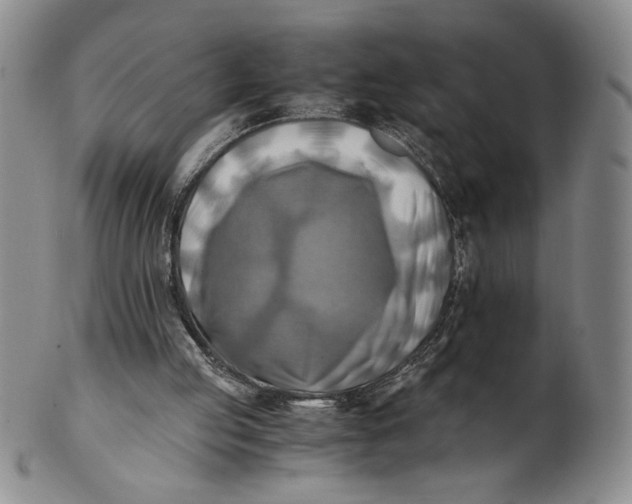 X0000100760053200807101737