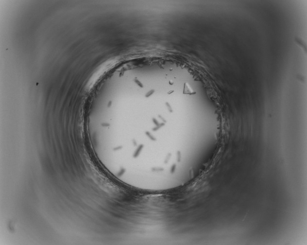 X0000100760054200807101737