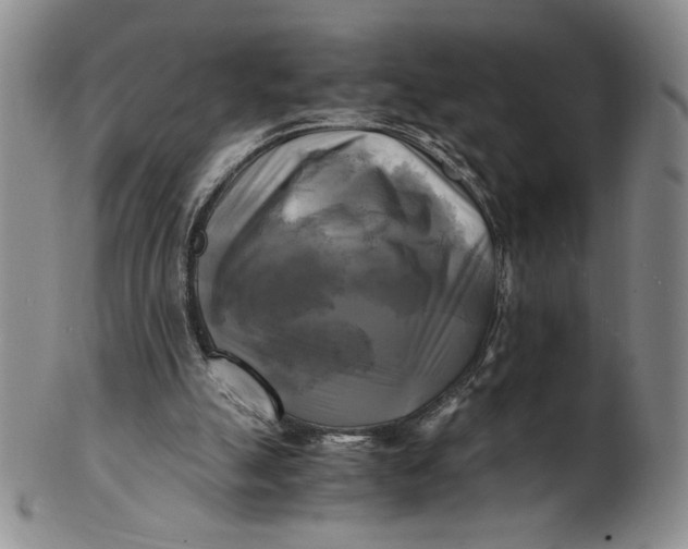 X0000100760055200807101737