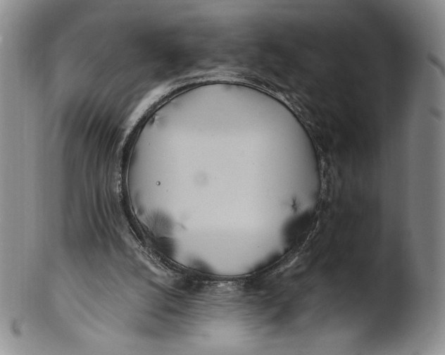 X0000100760056200807101737