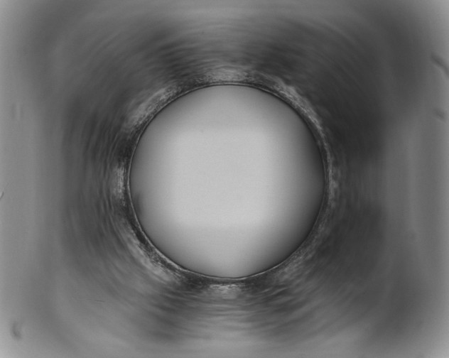 X0000100760057200807101737