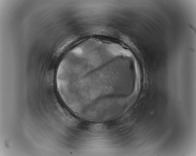X0000100760058200807101737