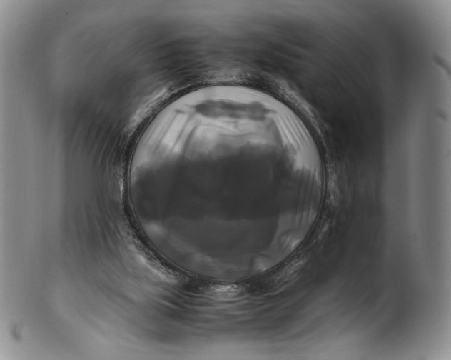 X0000100760059200807101737