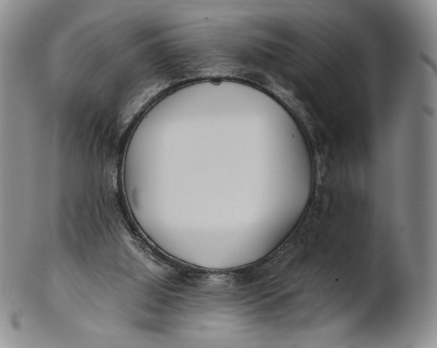 X0000100760060200807101737