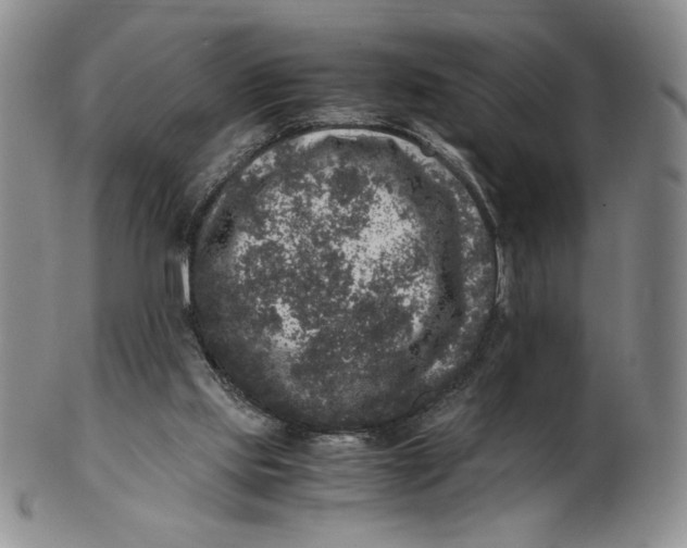 X0000100760061200807101737