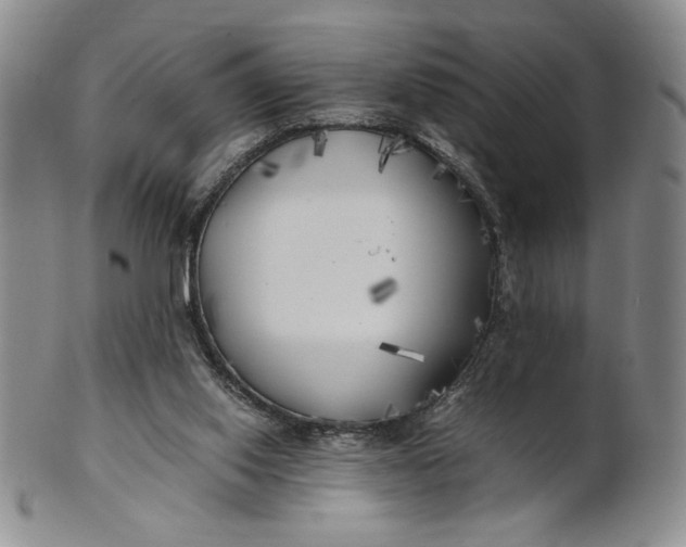 X0000100760062200807101737