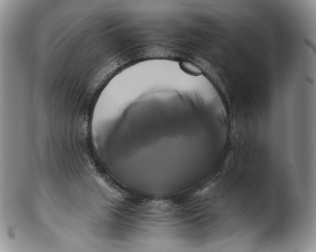 X0000100760063200807101737