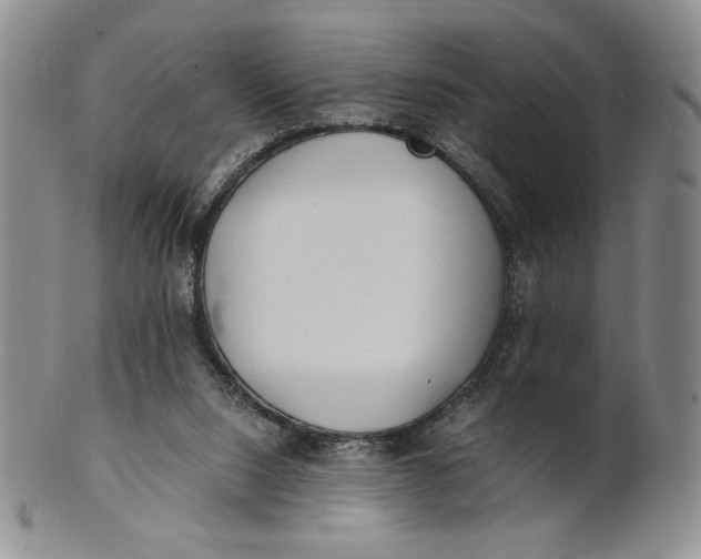 X0000100760064200807101737