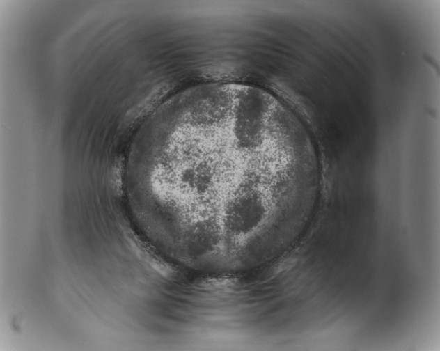 X0000100760065200807101737