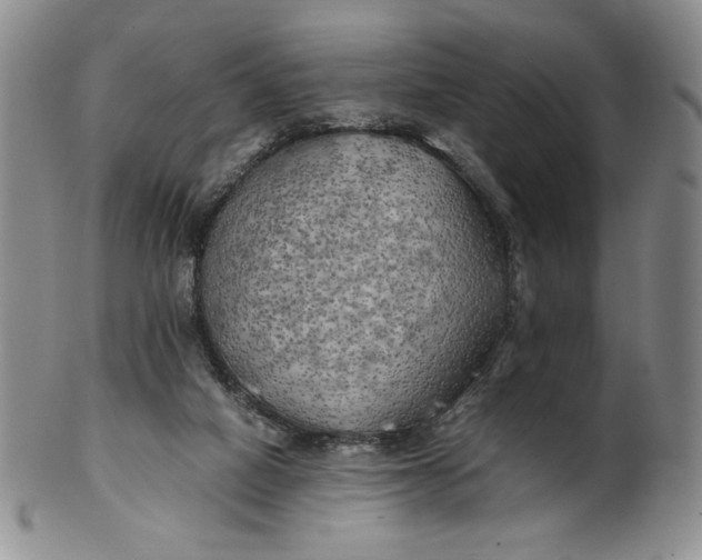 X0000100760066200807101737