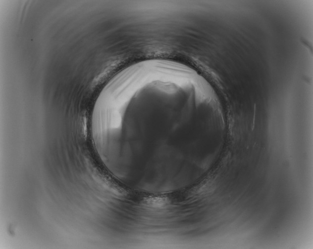 X0000100760067200807101737