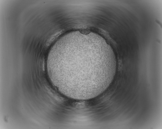 X0000100760068200807101737