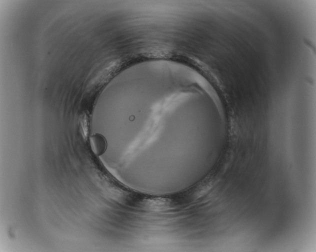 X0000100760069200807101737