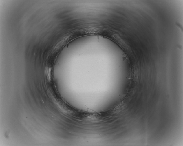 X0000100760070200807101737