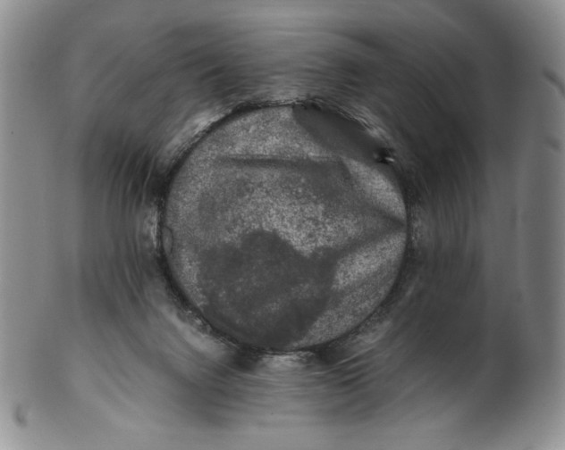 X0000100760072200807101737