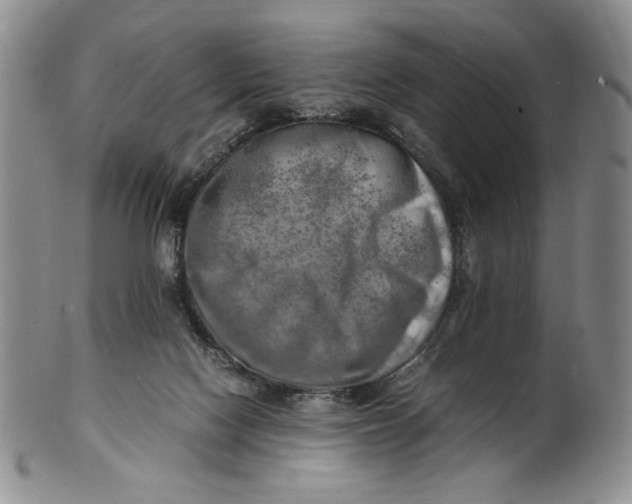 X0000100760074200807101737