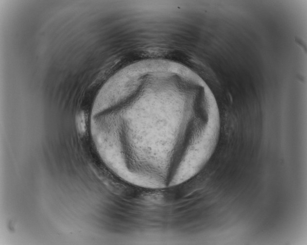 X0000100760075200807101738