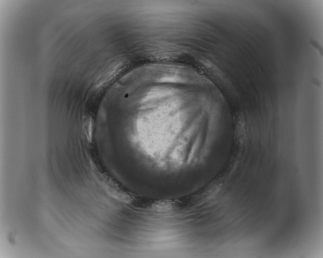 X0000100760076200807101738