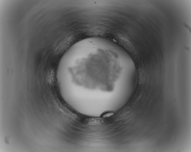 X0000100760077200807101738