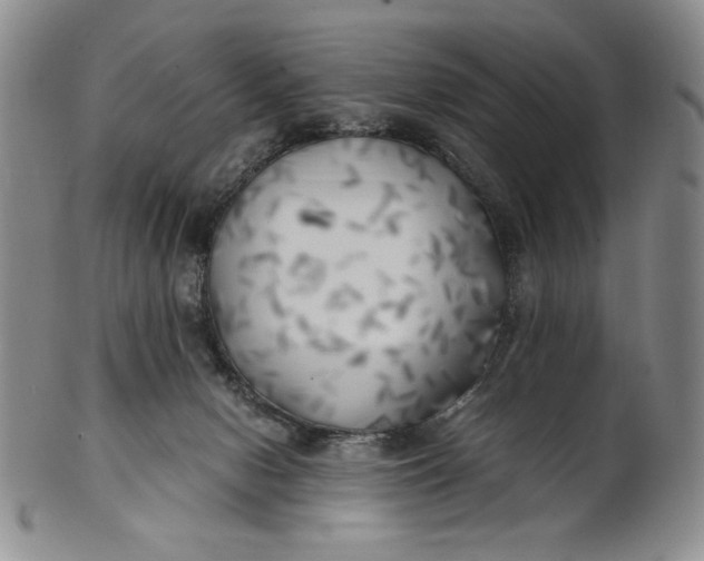 X0000100760078200807101738