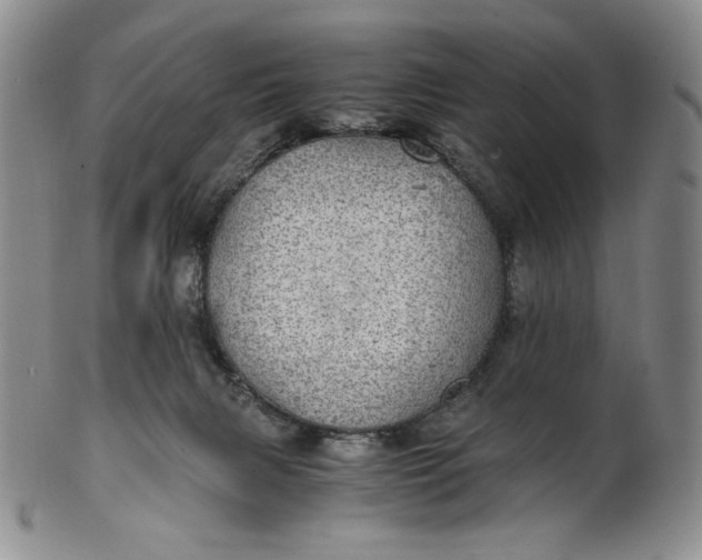 X0000100760079200807101738