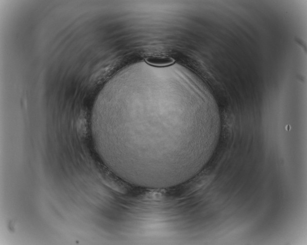 X0000100760080200807101738
