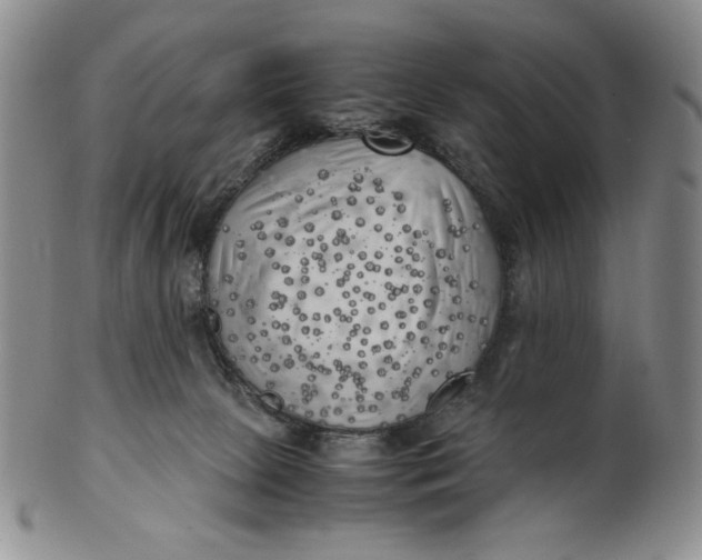 X0000100760081200807101738