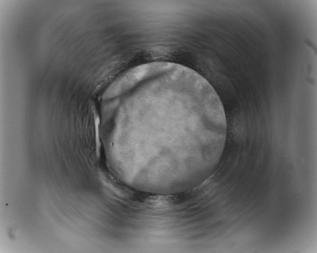 X0000100760082200807101738