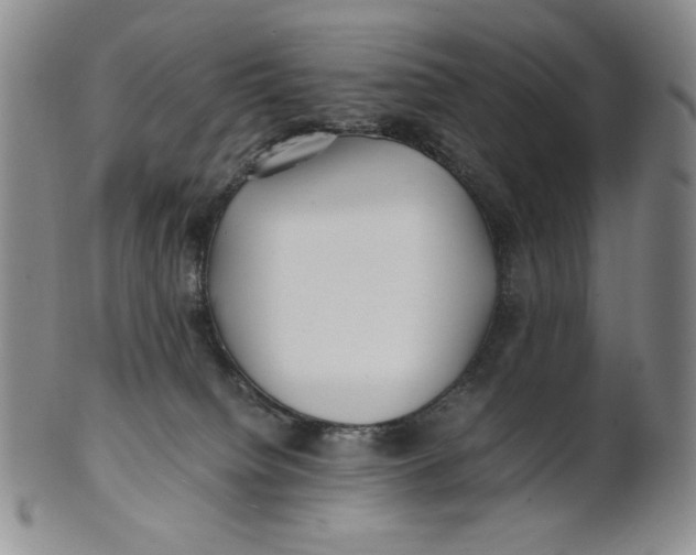 X0000100760084200807101738