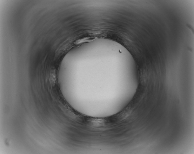 X0000100760085200807101738