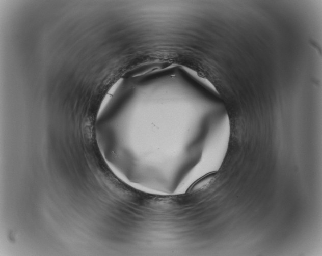 X0000100760086200807101738