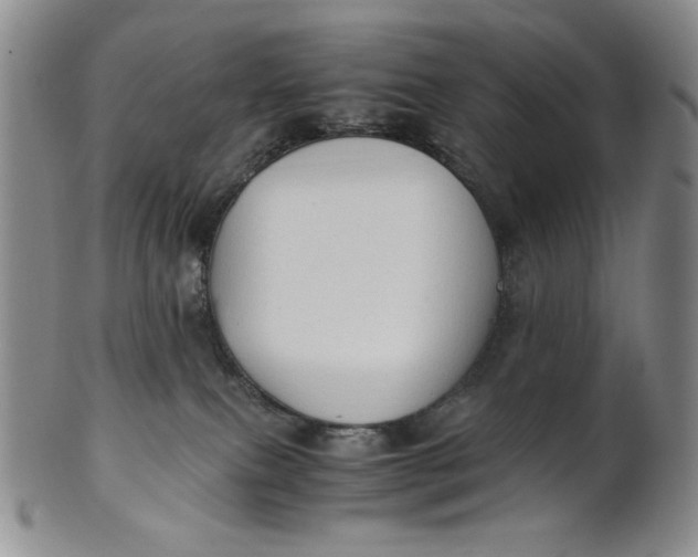 X0000100760087200807101738