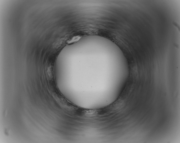X0000100760088200807101738