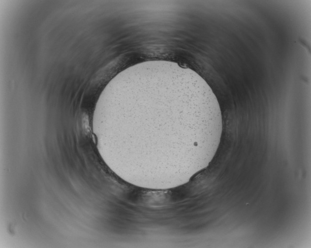 X0000100760089200807101738