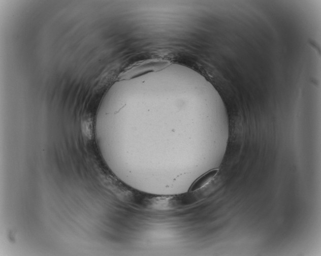 X0000100760090200807101738