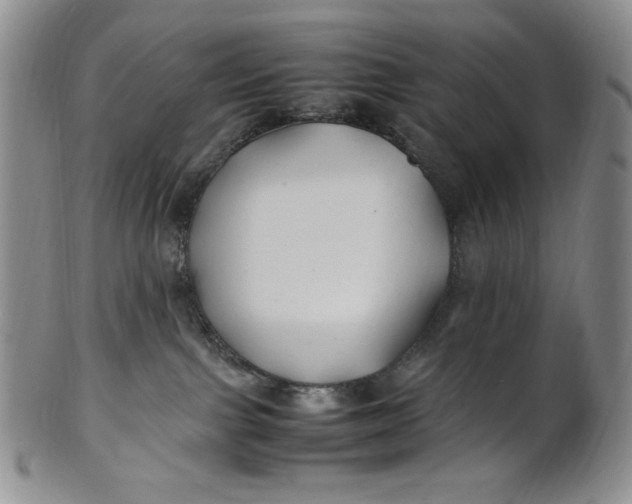 X0000100760091200807101738