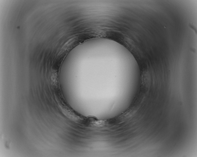X0000100760092200807101738