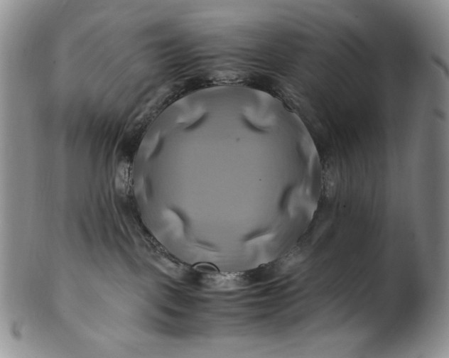X0000100760093200807101738